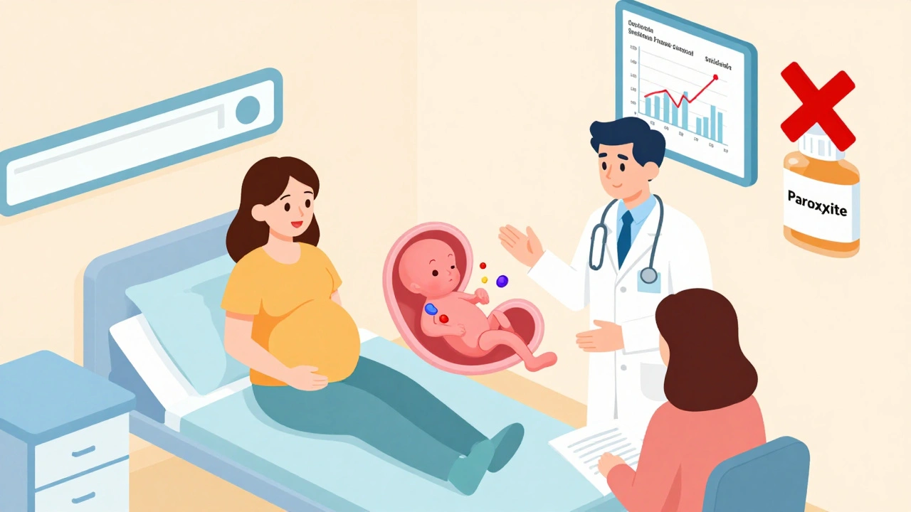 Pregnant woman in consultation with doctor and therapist, with placenta showing safe serotonin flow.