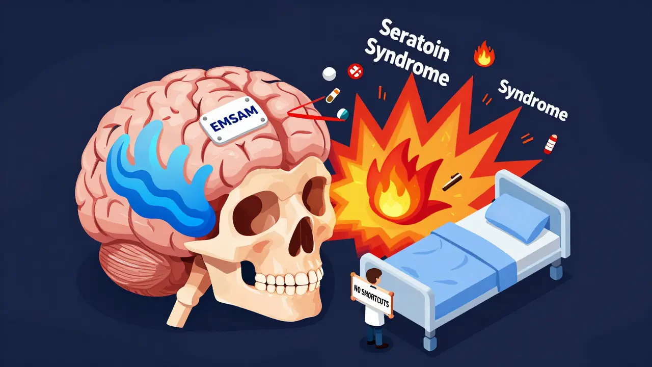 Split brain illustration: calm serotonin on one side, chaotic serotonin syndrome on the other, with EMSAM patch and warning drugs.